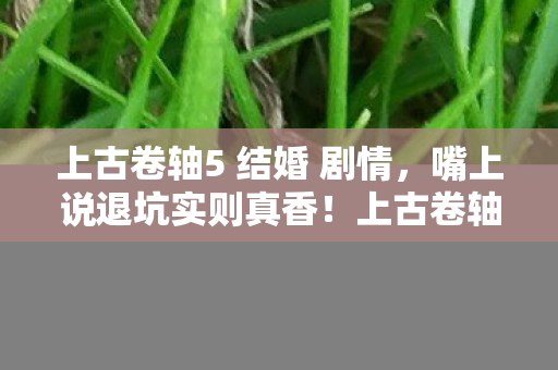 上古卷轴5 结婚 剧情，嘴上说退坑实则真香！上古卷轴5结婚，落差真相，笑着笑着就哭了