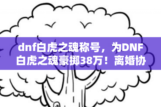 dnf白虎之魂称号,为DNF白虎之魂豪掷38万!离婚协议藏隐情,妻子举动吓我一跳! dnf白虎之魂称号,为DNF白虎之魂豪掷38万!离婚协议藏隐情,妻子举动吓我一跳!