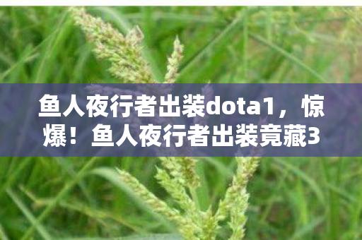 鱼人夜行者出装dota1，惊爆！鱼人夜行者出装竟藏3000万隐情，结果让人吓一跳！