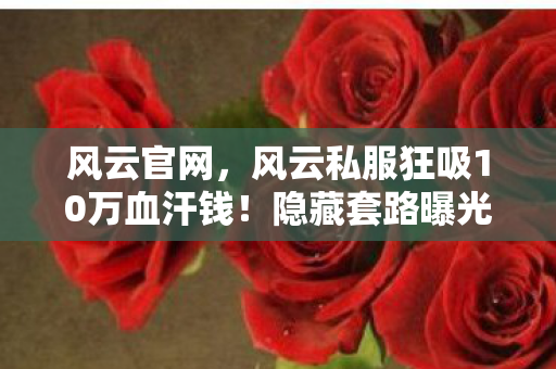 风云官网,风云私服狂吸10万血汗钱!隐藏套路曝光,玩家惊掉下巴! 风云官网,风云私服狂吸10万血汗钱!隐藏套路曝光,玩家惊掉下巴!