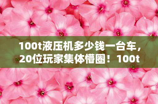 100t液压机多少钱一台车，20位玩家集体懵圈！100t液压机价格疑云，这数字谁看了不绷？
