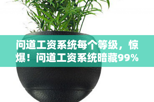 问道工资系统每个等级，惊爆！问道工资系统暗藏99%人不知的暴富密码，你竟还在傻傻打工？