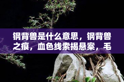 钢背兽是什么意思,钢背兽之痕,血色线索揭悬案,毛骨悚然自掘坟 钢背兽是什么意思,钢背兽之痕,血色线索揭悬案,毛骨悚然自掘坟