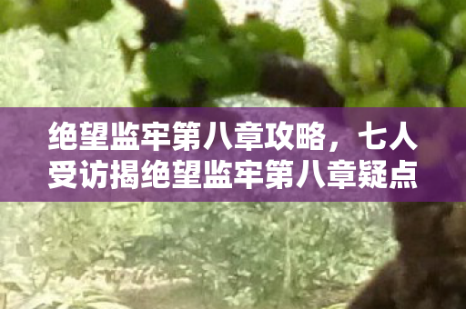 绝望监牢第八章攻略,七人受访揭绝望监牢第八章疑点,真相竟让老炮我当场绷不住! 绝望监牢第八章攻略,七人受访揭绝望监牢第八章疑点,真相竟让老炮我当场绷不住!