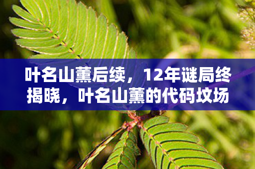 叶名山薰后续,12年谜局终揭晓,叶名山薰的代码坟场,为何让百万玩家泪目? 叶名山薰后续,12年谜局终揭晓,叶名山薰的代码坟场,为何让百万玩家泪目?