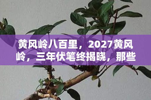 黄风岭八百里,2027黄风岭,三年伏笔终揭晓,那些凌晨的等你让我鼻子一酸 黄风岭八百里,2027黄风岭,三年伏笔终揭晓,那些凌晨的等你让我鼻子一酸