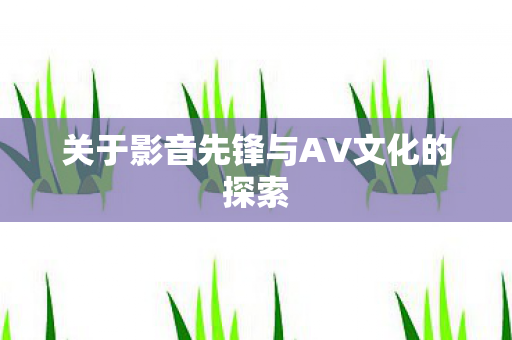 关于影音先锋与AV文化的探索