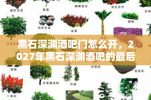 黑石深渊酒吧门怎么开,2027年黑石深渊酒吧的最后一杯酒,伏笔藏了十年,鼻子一酸终成绝响 黑石深渊酒吧门怎么开,2027年黑石深渊酒吧的最后一杯酒,伏笔藏了十年,鼻子一酸终成绝响