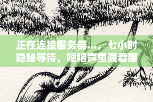 正在连接服务器...，七小时隐秘等待，哽咽声里藏着那些年服务器前的青春