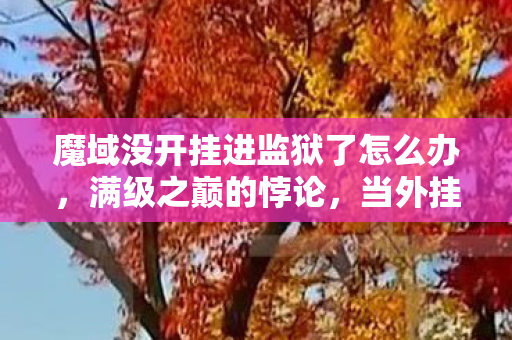 魔域没开挂进监狱了怎么办，满级之巅的悖论，当外挂成为人生作弊器，灵魂却在深渊震颤