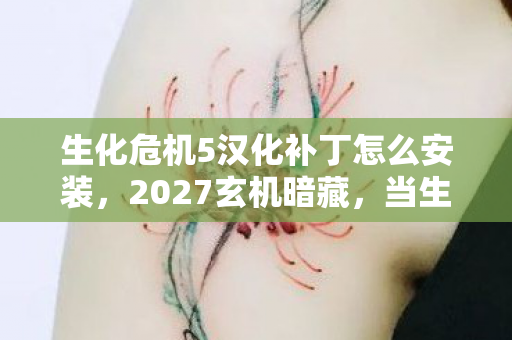 生化危机5汉化补丁怎么安装,2027玄机暗藏,当生化危机5汉化补丁撕开沉默的真相 生化危机5汉化补丁怎么安装,2027玄机暗藏,当生化危机5汉化补丁撕开沉默的真相
