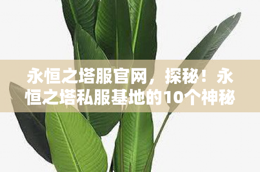 永恒之塔服官网,探秘!永恒之塔私服基地的10个神秘版本,藏着什么惊人秘密? 永恒之塔服官网,探秘!永恒之塔私服基地的10个神秘版本,藏着什么惊人秘密?