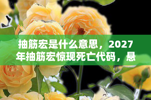 抽筋宏是什么意思，2027年抽筋宏惊现死亡代码，悬案背后暗藏毛骨悚然真相