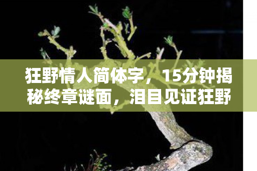 狂野情人简体字,15分钟揭秘终章谜面,泪目见证狂野情人ova2的永恒谢幕 狂野情人简体字,15分钟揭秘终章谜面,泪目见证狂野情人ova2的永恒谢幕