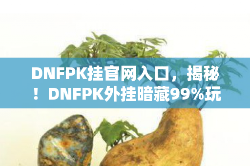 DNFPK挂官网入口,揭秘!DNFPK外挂暗藏99%玩家不知的3大数值暴走机制 DNFPK挂官网入口,揭秘!DNFPK外挂暗藏99%玩家不知的3大数值暴走机制