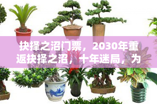 抉择之沼门票，2030年重返抉择之沼，十年迷局，为何老玩家至今不敢直视深渊？