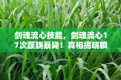 剑魂流心技能,剑魂流心17次蹊跷暴毙!真相揭晓瞬间,玩家后背发凉 剑魂流心技能,剑魂流心17次蹊跷暴毙!真相揭晓瞬间,玩家后背发凉