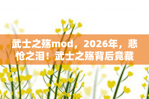 武士之殇mod,2026年,悲怆之泪!武士之殇背后竟藏着惊天秘密? 武士之殇mod,2026年,悲怆之泪!武士之殇背后竟藏着惊天秘密?
