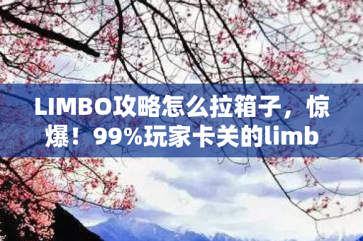 LIMBO攻略怎么拉箱子，惊爆！99%玩家卡关的limbo隐藏关卡，通关秘籍竟藏在这？