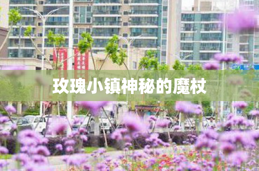 玫瑰小镇神秘的魔杖