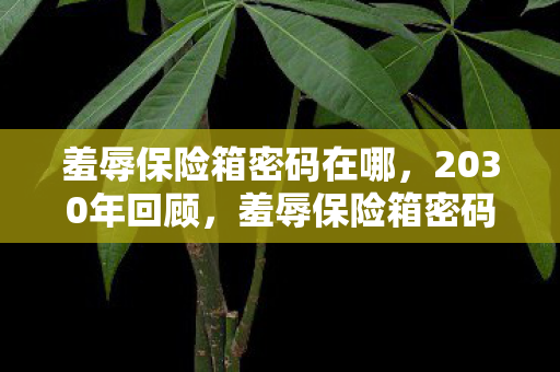 羞辱保险箱密码在哪,2030年回顾,羞辱保险箱密码的十年谜团,真相竟如此震撼! 羞辱保险箱密码在哪,2030年回顾,羞辱保险箱密码的十年谜团,真相竟如此震撼!
