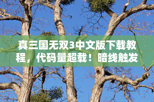 真三国无双3中文版下载教程,代码量超载!暗线触发数据熵增危机,这操作让人头皮发麻 真三国无双3中文版下载教程,代码量超载!暗线触发数据熵增危机,这操作让人头皮发麻