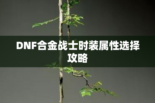 DNF合金战士时装属性选择攻略
