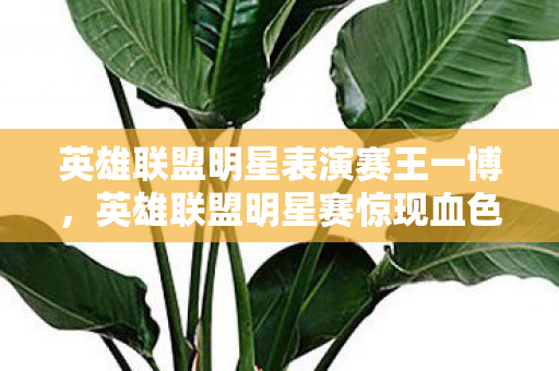 英雄联盟明星表演赛王一博,英雄联盟明星赛惊现血色悬案,杀戮线索交织,真相毛骨悚然 英雄联盟明星表演赛王一博,英雄联盟明星赛惊现血色悬案,杀戮线索交织,真相毛骨悚然