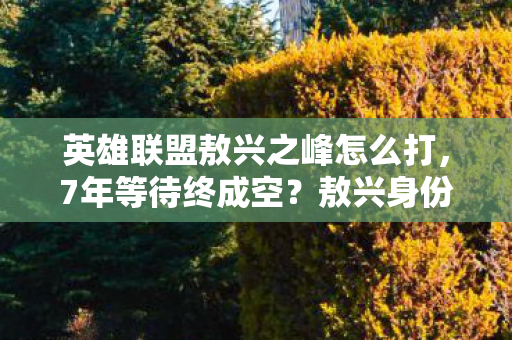 英雄联盟敖兴之峰怎么打,7年等待终成空?敖兴身份之谜背后,百万玩家心酸泪 英雄联盟敖兴之峰怎么打,7年等待终成空?敖兴身份之谜背后,百万玩家心酸泪