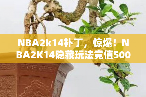 NBA2k14补丁,惊爆!NBA2K14隐藏玩法竟值500万?背后隐情让人吓一跳! NBA2k14补丁,惊爆!NBA2K14隐藏玩法竟值500万?背后隐情让人吓一跳!