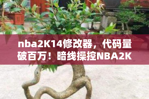 nba2K14修改器,代码量破百万!暗线操控NBA2K14,MC修改器让我头皮发麻 nba2K14修改器,代码量破百万!暗线操控NBA2K14,MC修改器让我头皮发麻