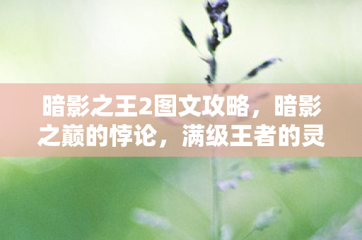 暗影之王2图文攻略,暗影之巅的悖论,满级王者的灵魂,在现实深渊震颤 暗影之王2图文攻略,暗影之巅的悖论,满级王者的灵魂,在现实深渊震颤