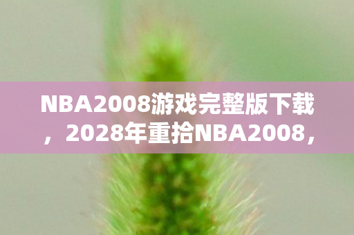 NBA2008游戏完整版下载,2028年重拾NBA2008,伏笔揭开旧情,鼻子一酸忆往昔 NBA2008游戏完整版下载,2028年重拾NBA2008,伏笔揭开旧情,鼻子一酸忆往昔