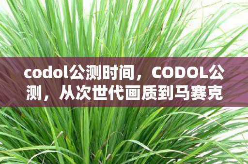 codol公测时间,CODOL公测,从次世代画质到马赛克战场,笑着笑着就哭了这真相谁懂啊! codol公测时间,CODOL公测,从次世代画质到马赛克战场,笑着笑着就哭了这真相谁懂啊!