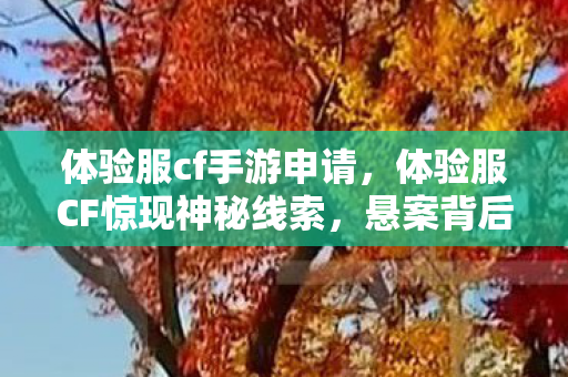 体验服cf手游申请,体验服CF惊现神秘线索,悬案背后竟藏毛骨悚然真相! 体验服cf手游申请,体验服CF惊现神秘线索,悬案背后竟藏毛骨悚然真相!