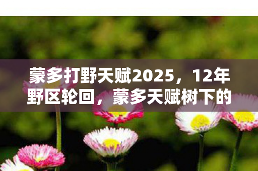 蒙多打野天赋2025,12年野区轮回,蒙多天赋树下的血色谜题,为何让百万玩家泪目? 蒙多打野天赋2025,12年野区轮回,蒙多天赋树下的血色谜题,为何让百万玩家泪目?