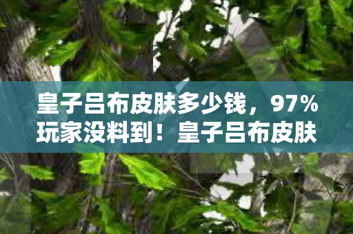 皇子吕布皮肤多少钱,97%玩家没料到!皇子吕布皮肤三端实测,手感差距竟差出10个段位? 皇子吕布皮肤多少钱,97%玩家没料到!皇子吕布皮肤三端实测,手感差距竟差出10个段位?
