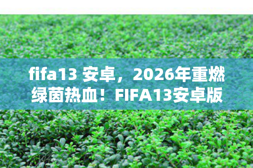 fifa13 安卓,2026年重燃绿茵热血!FIFA13安卓版竟藏惊天逆袭彩蛋? fifa13 安卓,2026年重燃绿茵热血!FIFA13安卓版竟藏惊天逆袭彩蛋?