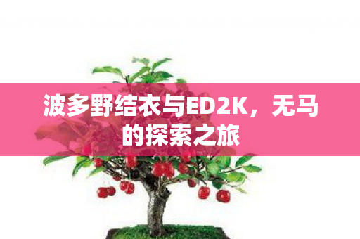 波多野结衣与ED2K，无马的探索之旅
