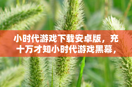 小时代游戏下载安卓版,充十万才知小时代游戏黑幕,这隐情让我吓一跳! 小时代游戏下载安卓版,充十万才知小时代游戏黑幕,这隐情让我吓一跳!