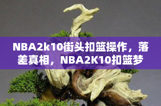 NBA2k10街头扣篮操作,落差真相,NBA2K10扣篮梦碎,笑着笑着,我哭了 NBA2k10街头扣篮操作,落差真相,NBA2K10扣篮梦碎,笑着笑着,我哭了