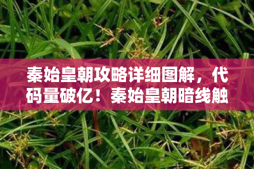 秦始皇朝攻略详细图解，代码量破亿！秦始皇朝暗线触发，当NPC觉醒时，你的头皮还麻吗？