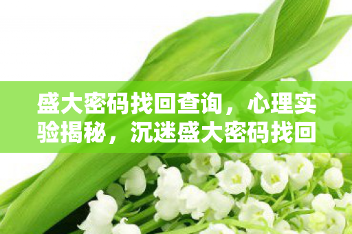 盛大密码找回查询,心理实验揭秘,沉迷盛大密码找回的细思极恐自我麻醉 盛大密码找回查询,心理实验揭秘,沉迷盛大密码找回的细思极恐自我麻醉