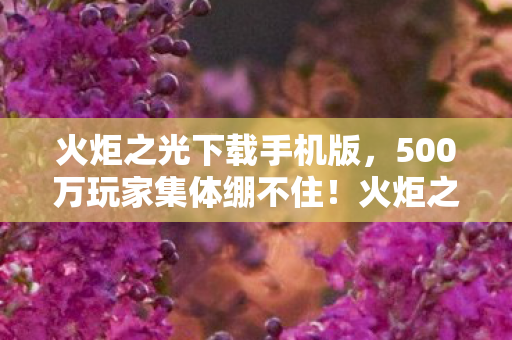 火炬之光下载手机版,500万玩家集体绷不住!火炬之光下载疑云,是神作还是坑货? 火炬之光下载手机版,500万玩家集体绷不住!火炬之光下载疑云,是神作还是坑货?