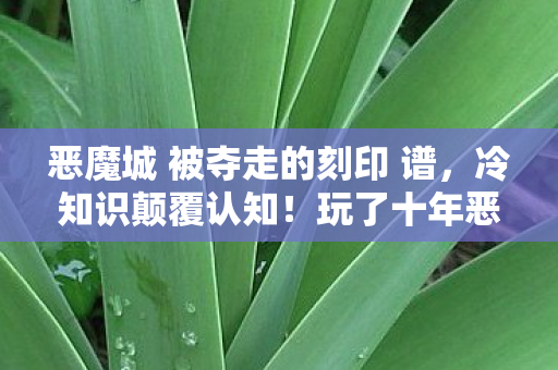 恶魔城 被夺走的刻印 谱,冷知识颠覆认知!玩了十年恶魔城,被夺走的刻印才目瞪口呆发现…… 恶魔城 被夺走的刻印 谱,冷知识颠覆认知!玩了十年恶魔城,被夺走的刻印才目瞪口呆发现……