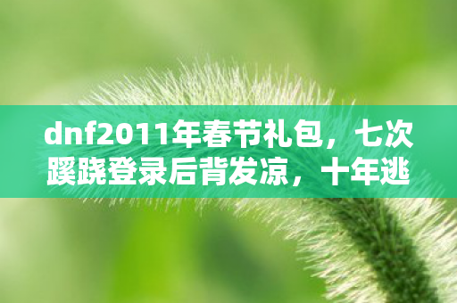 dnf2011年春节礼包,七次蹊跷登录后背发凉,十年逃兵的DNF深渊自救录 dnf2011年春节礼包,七次蹊跷登录后背发凉,十年逃兵的DNF深渊自救录