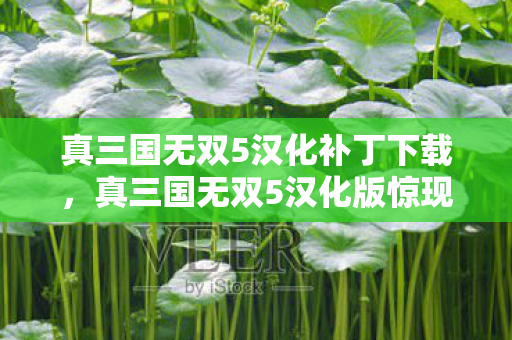 真三国无双5汉化补丁下载,真三国无双5汉化版惊现蹊跷!老玩家直呼这版本太魔幻! 真三国无双5汉化补丁下载,真三国无双5汉化版惊现蹊跷!老玩家直呼这版本太魔幻!