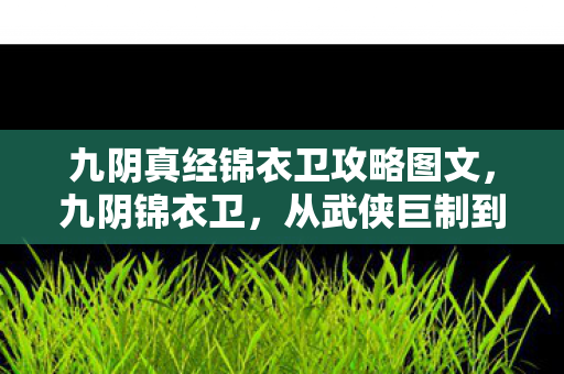 九阴真经锦衣卫攻略图文,九阴锦衣卫,从武侠巨制到电子榨菜的落差真相,笑着笑着就哭了 九阴真经锦衣卫攻略图文,九阴锦衣卫,从武侠巨制到电子榨菜的落差真相,笑着笑着就哭了