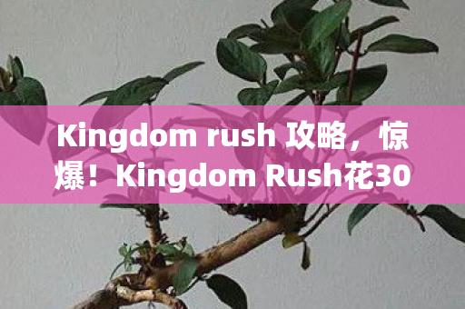 Kingdom rush 攻略,惊爆!Kingdom Rush花300万方案竟藏致命隐情,吓到你想退游! Kingdom rush 攻略,惊爆!Kingdom Rush花300万方案竟藏致命隐情,吓到你想退游!