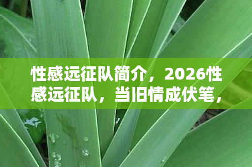 性感远征队简介,2026性感远征队,当旧情成伏笔,那些年谁让你鼻子一酸? 性感远征队简介,2026性感远征队,当旧情成伏笔,那些年谁让你鼻子一酸?